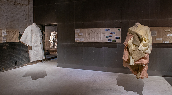 Fight Flight or Freeze