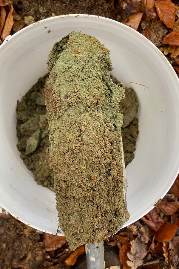 Green earth sample