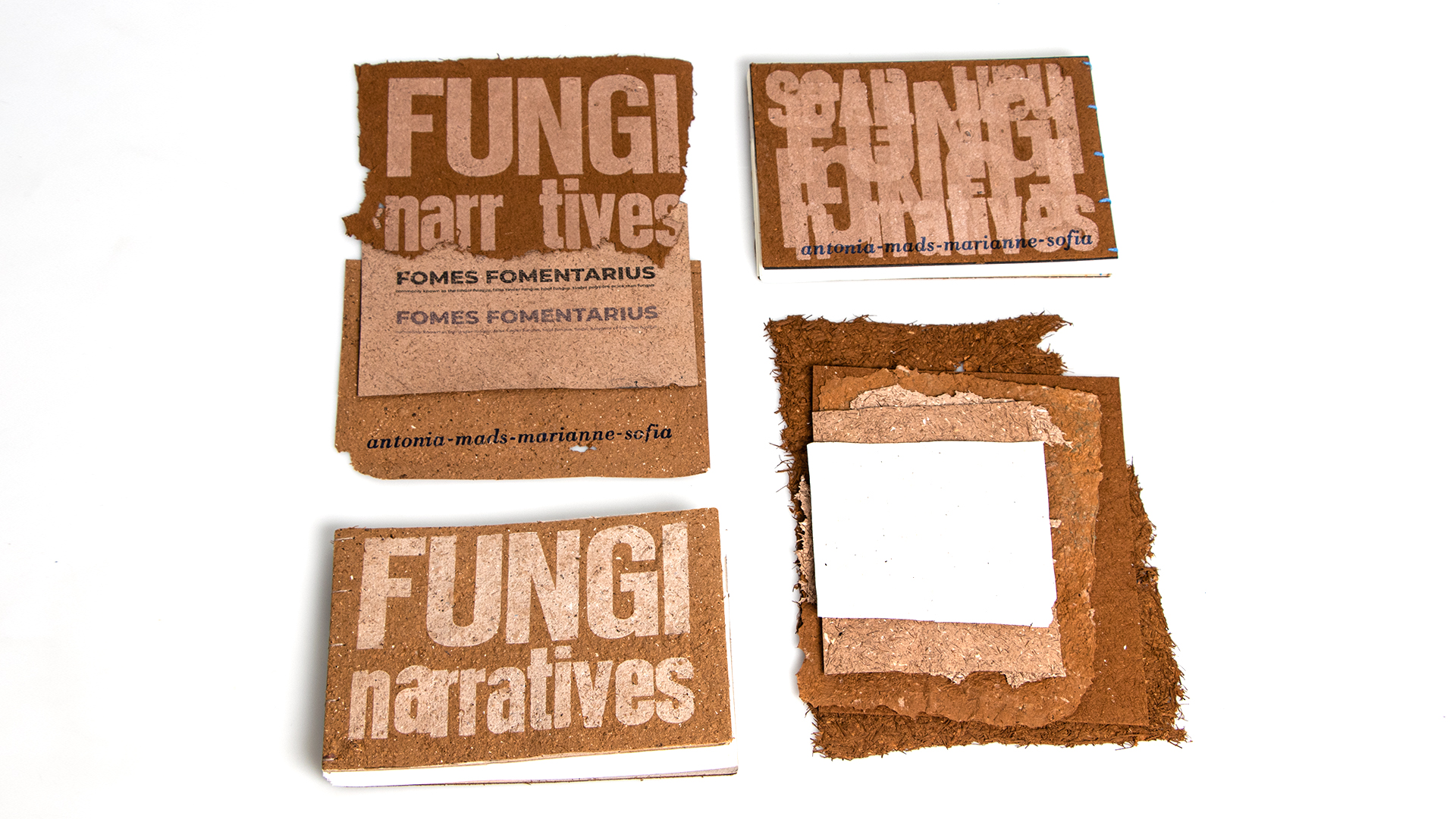 Fungi Narratives by Kolding Design School