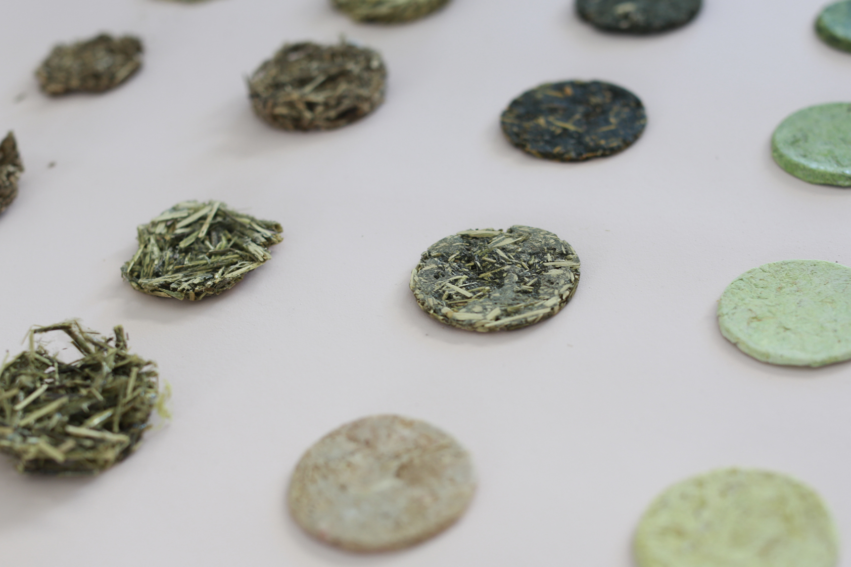 Material samples made from the stinging nettle.