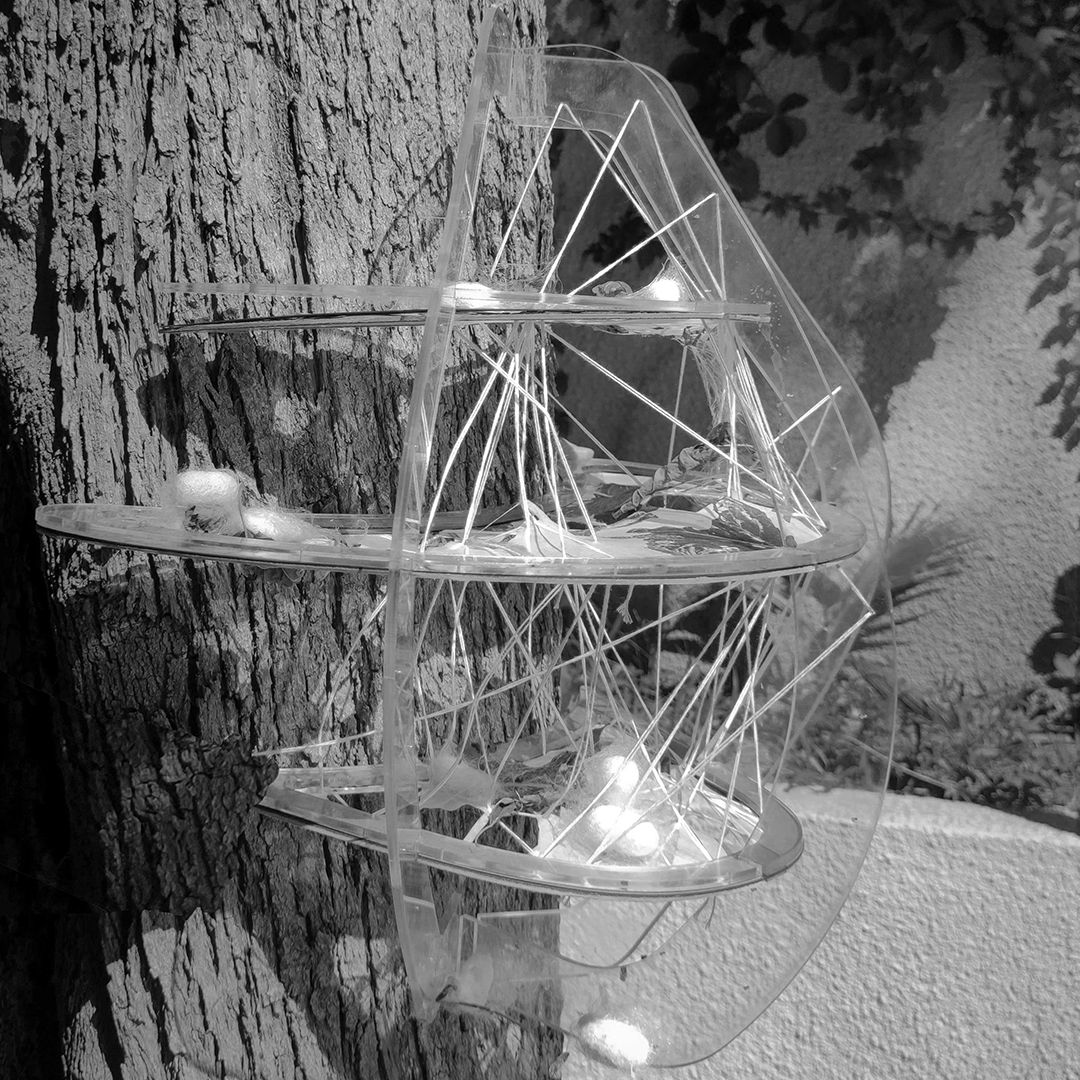 in between: the cocoon and design (model on tree)