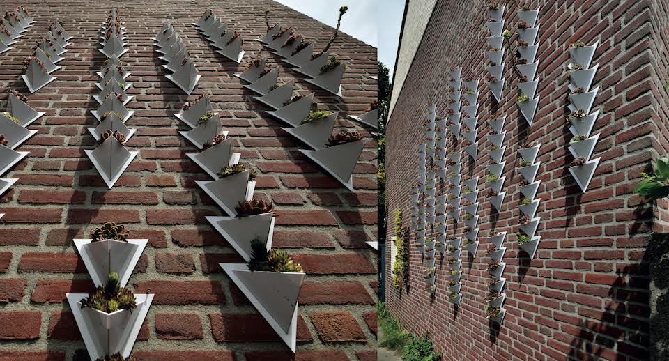 Cactus facade element