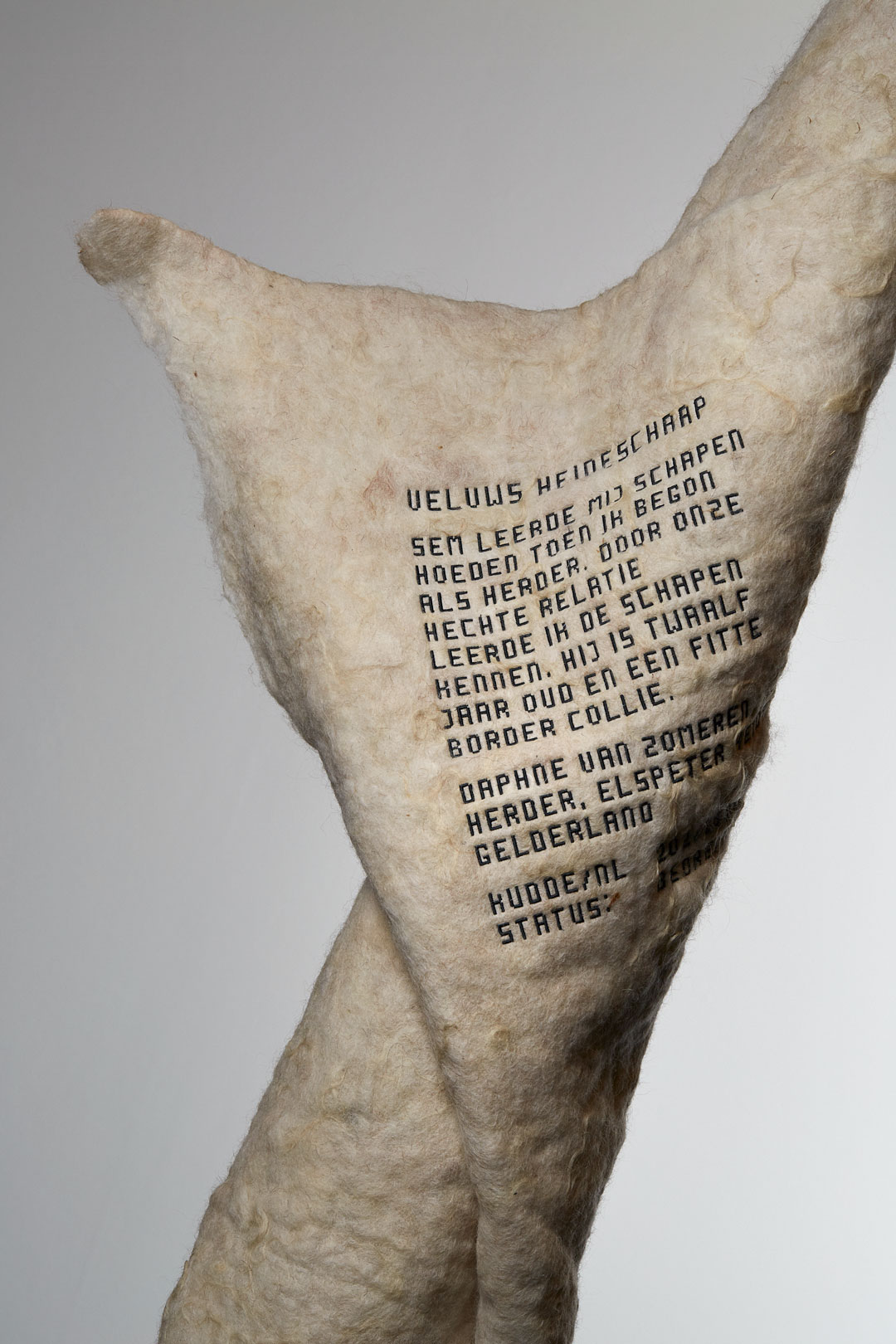 Daphne's Blanket, wool of Schoonebeeker year 2020