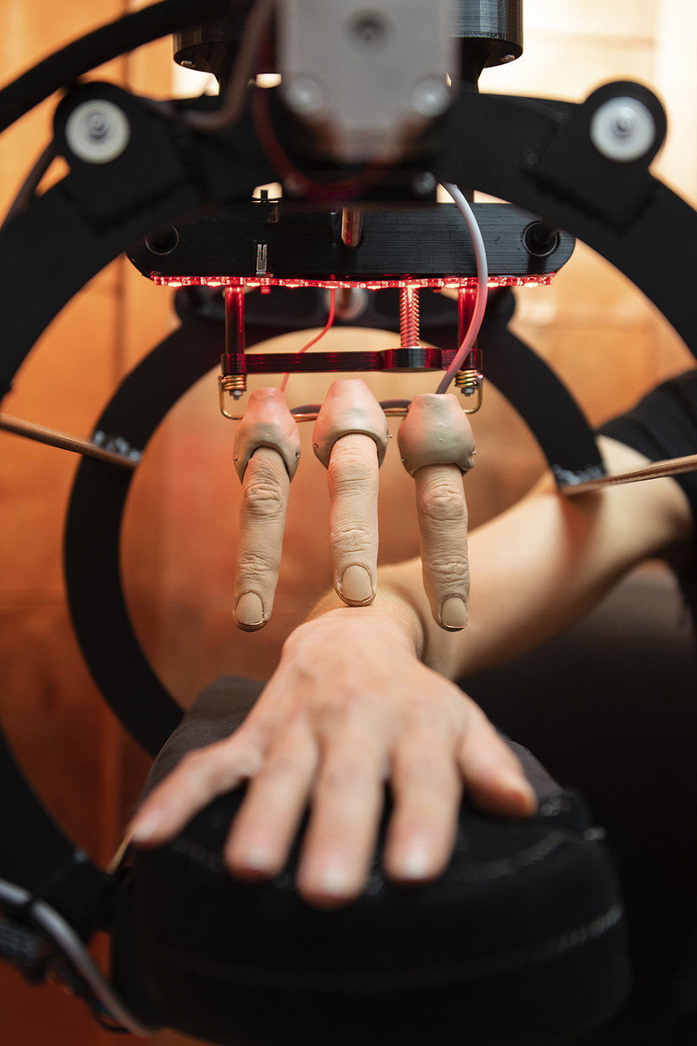 Future Affair (detail of the caressing machine)