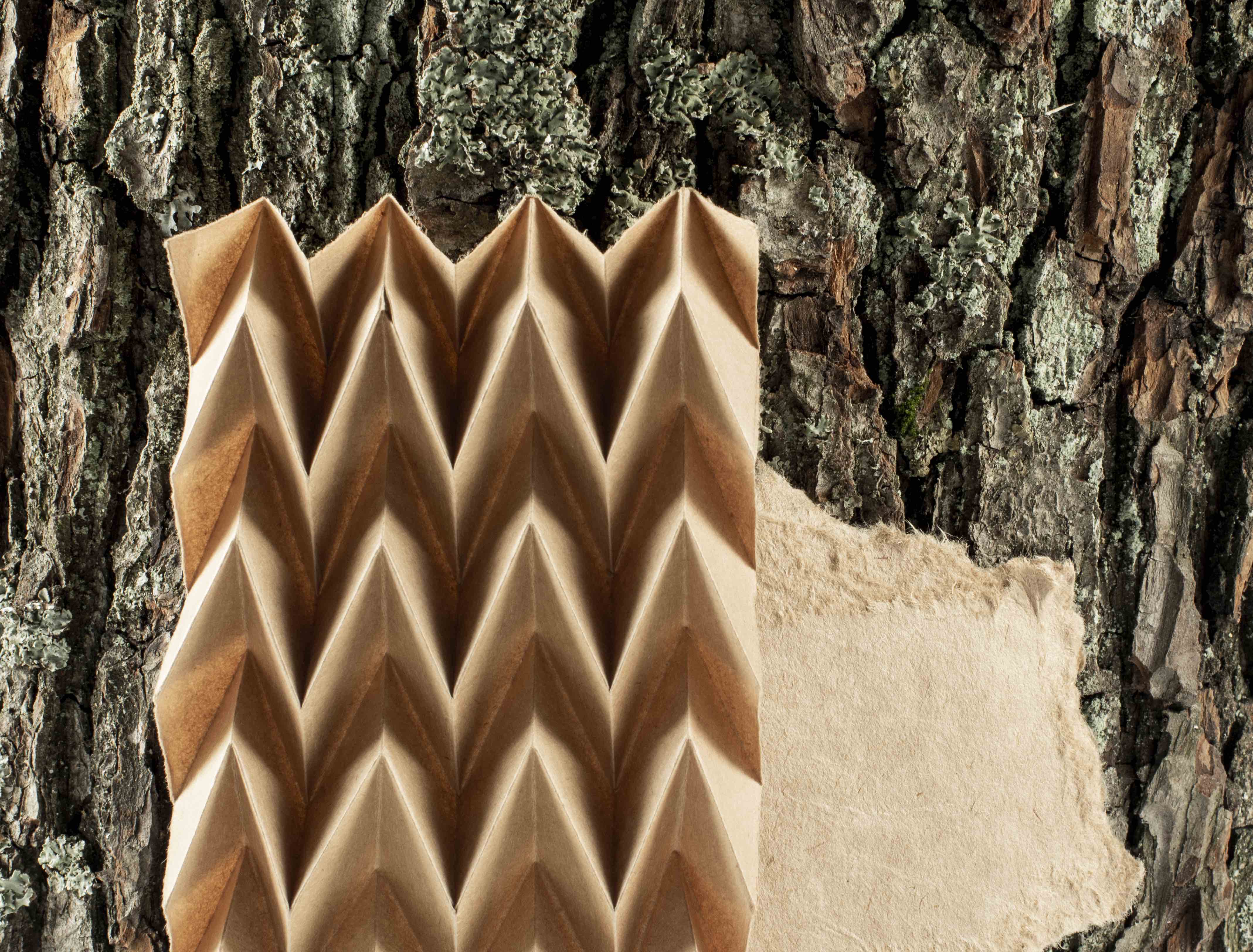 Origami structures by Laureen Mahler
