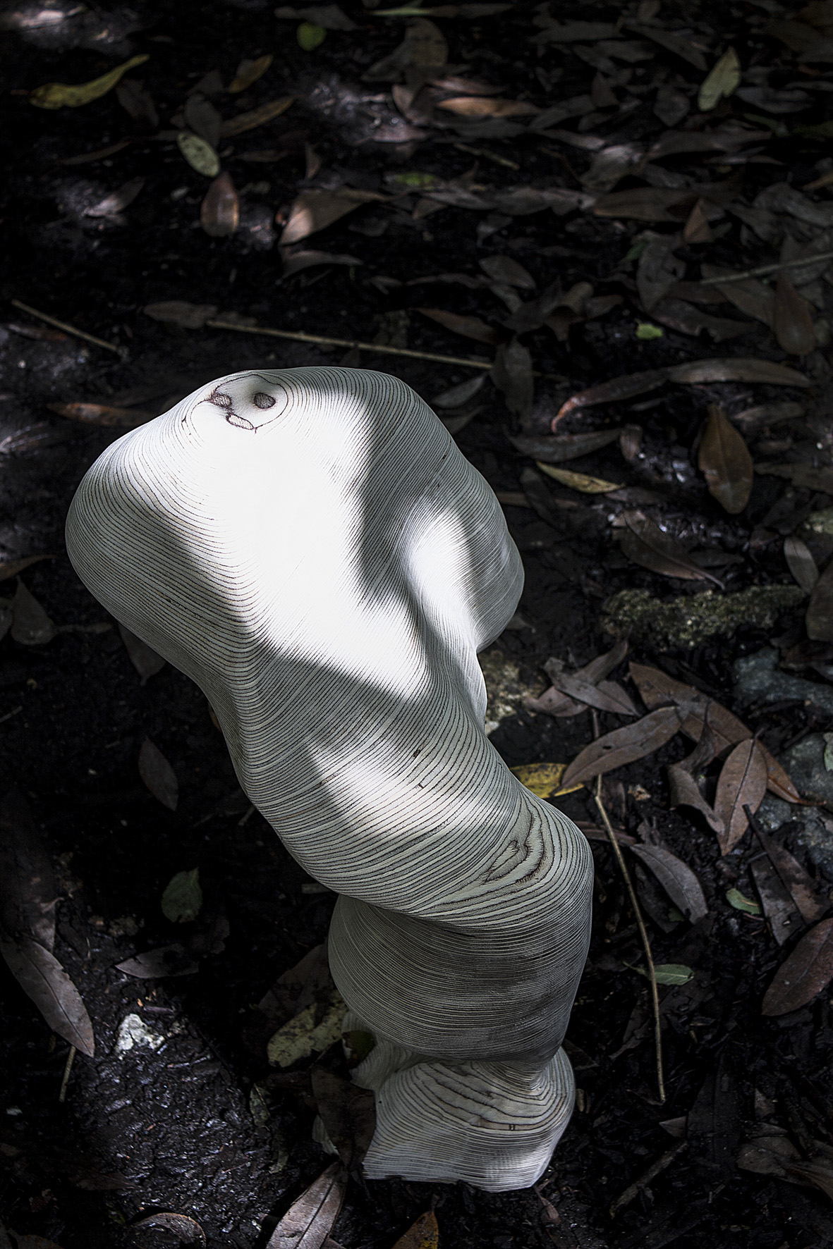 The shape of nature