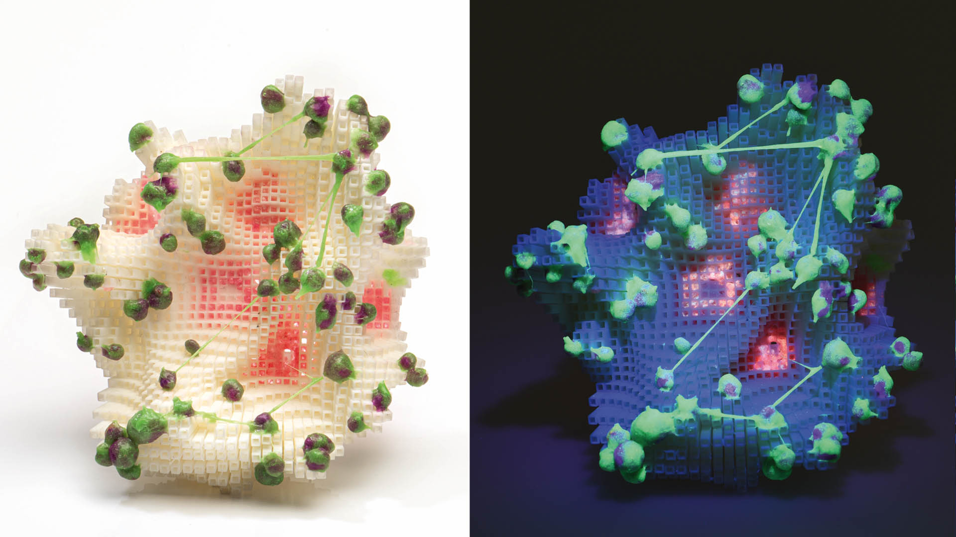 generative design + craft, brooch