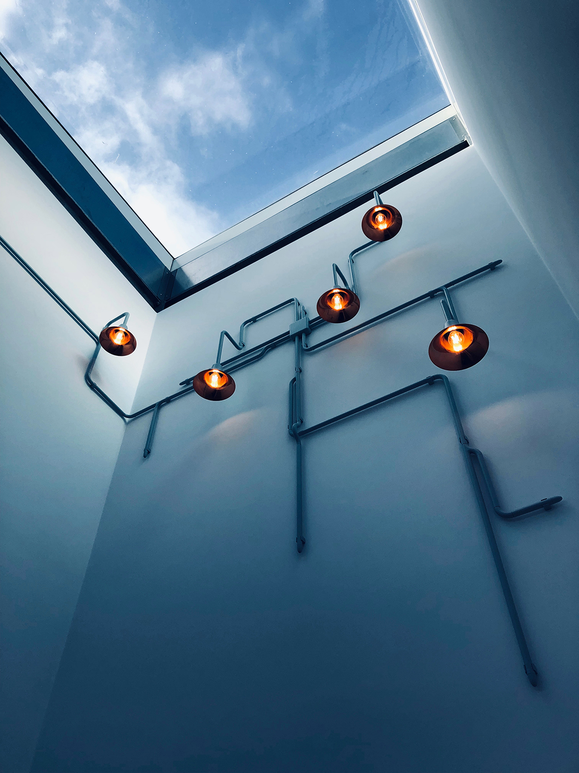 Light forest_aptumlighting.com