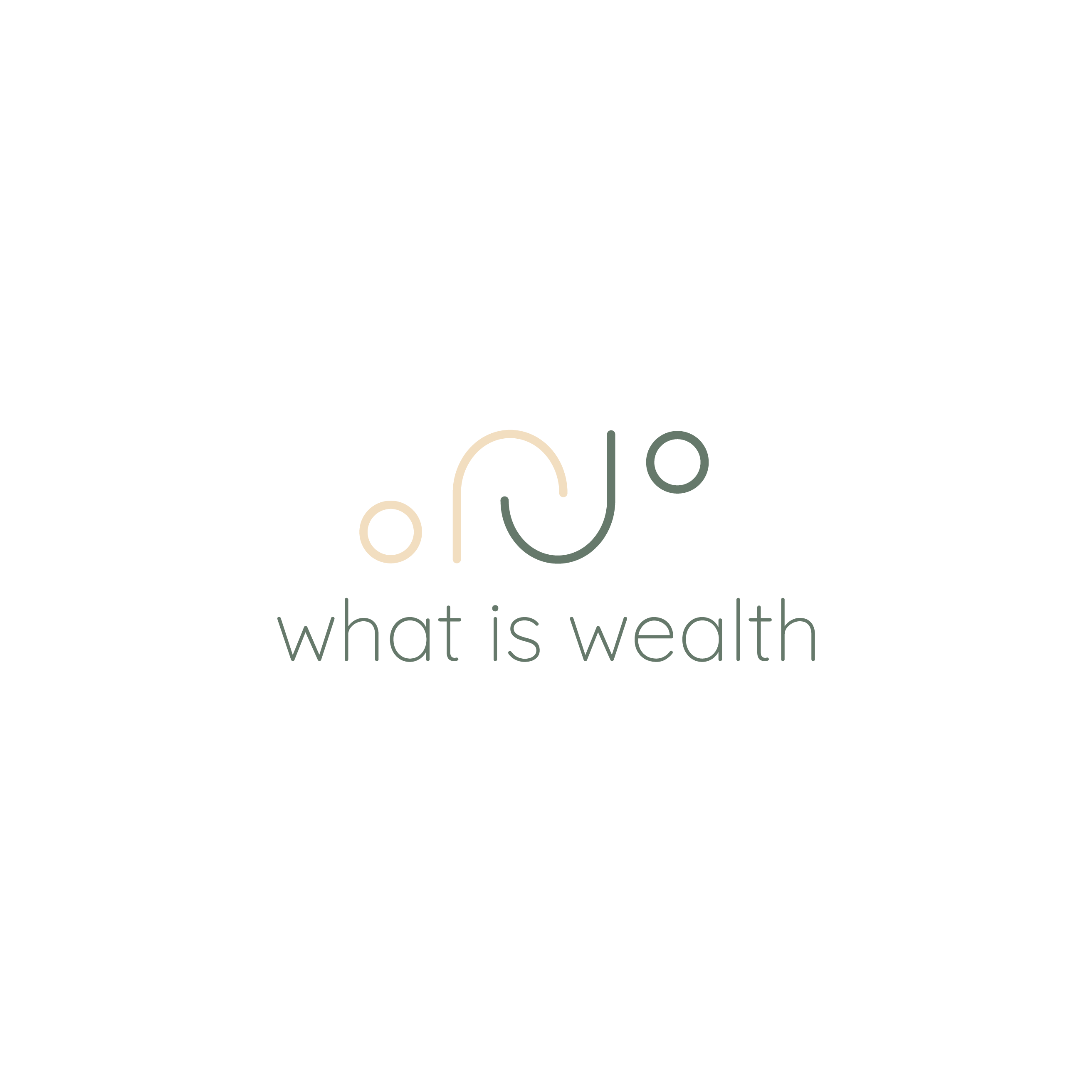 What is Wealth?