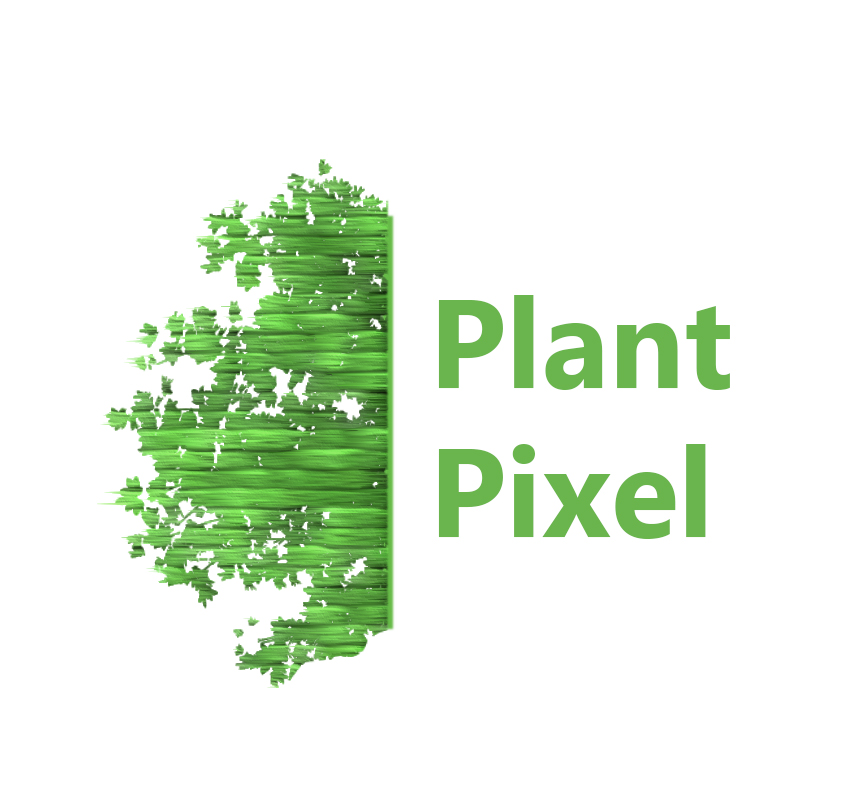 Uitgelicht in https://maricruzsolera.wixsite.com/plantpixel