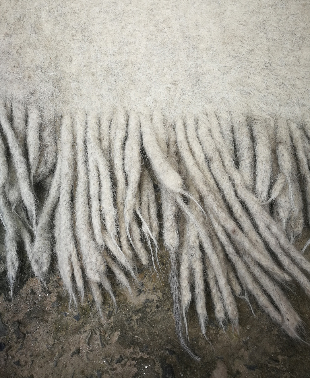 yak wool fringes