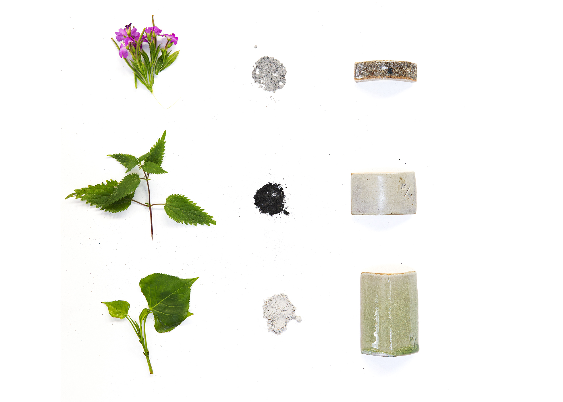 Phyto-extraction plants to glaze