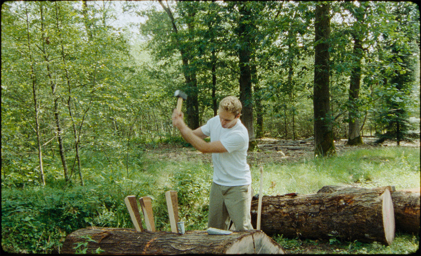 Rutger van der Zee splitting logs