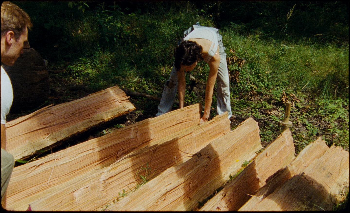 Splitting DDW logs in the forest