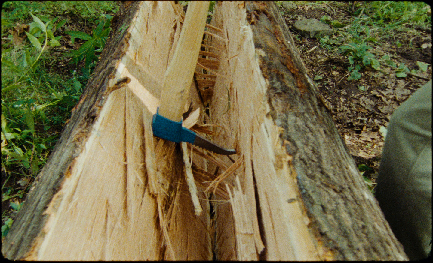 Splitting logs in the forest