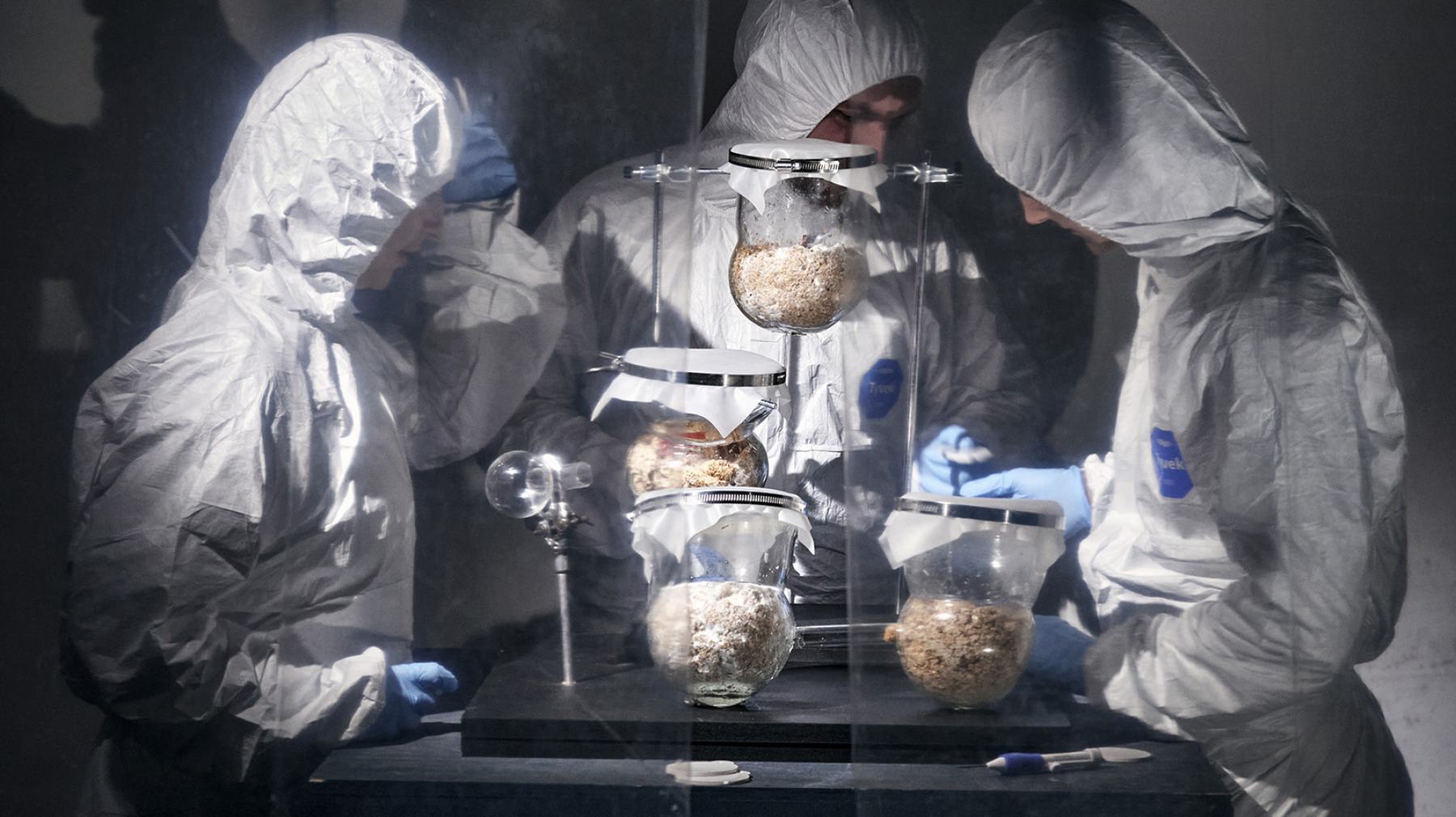 Match Laboratory