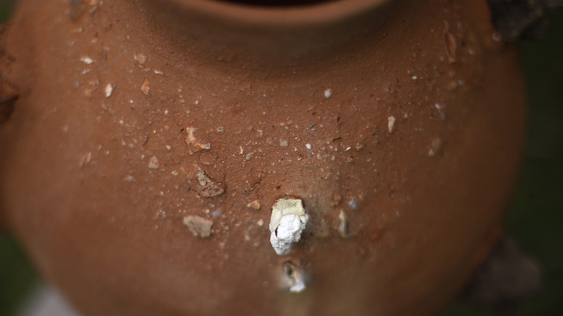 Fired ceramic vase made from first Hole Horizon