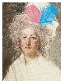 Marie-Antoinette embroidered with Feathers
