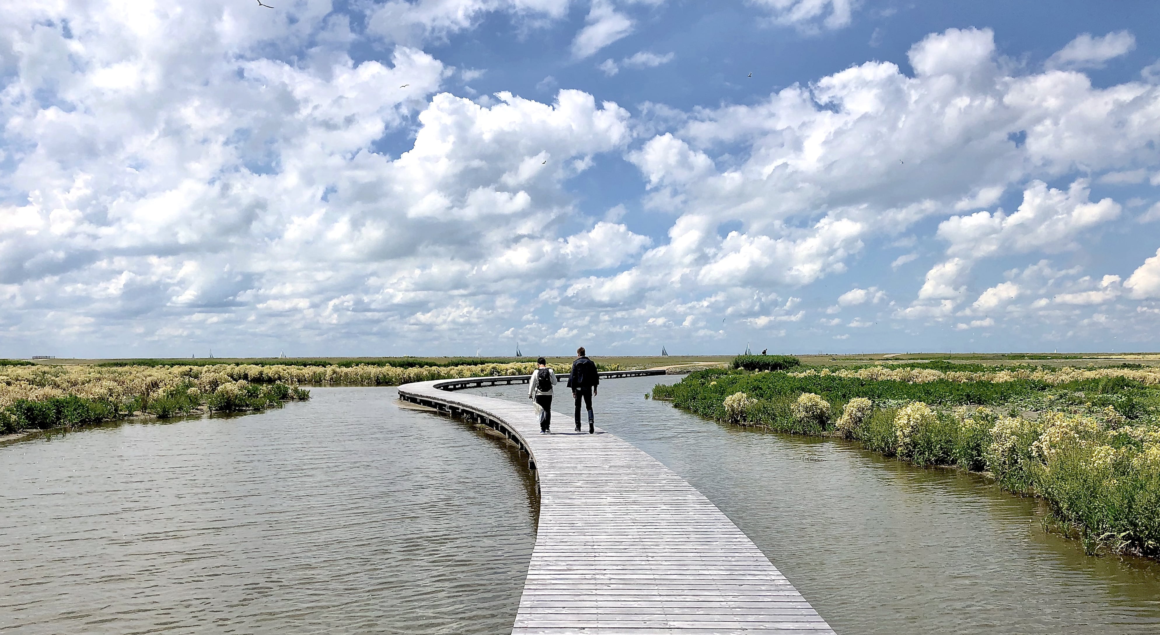 Marker Wadden - vlonderpad