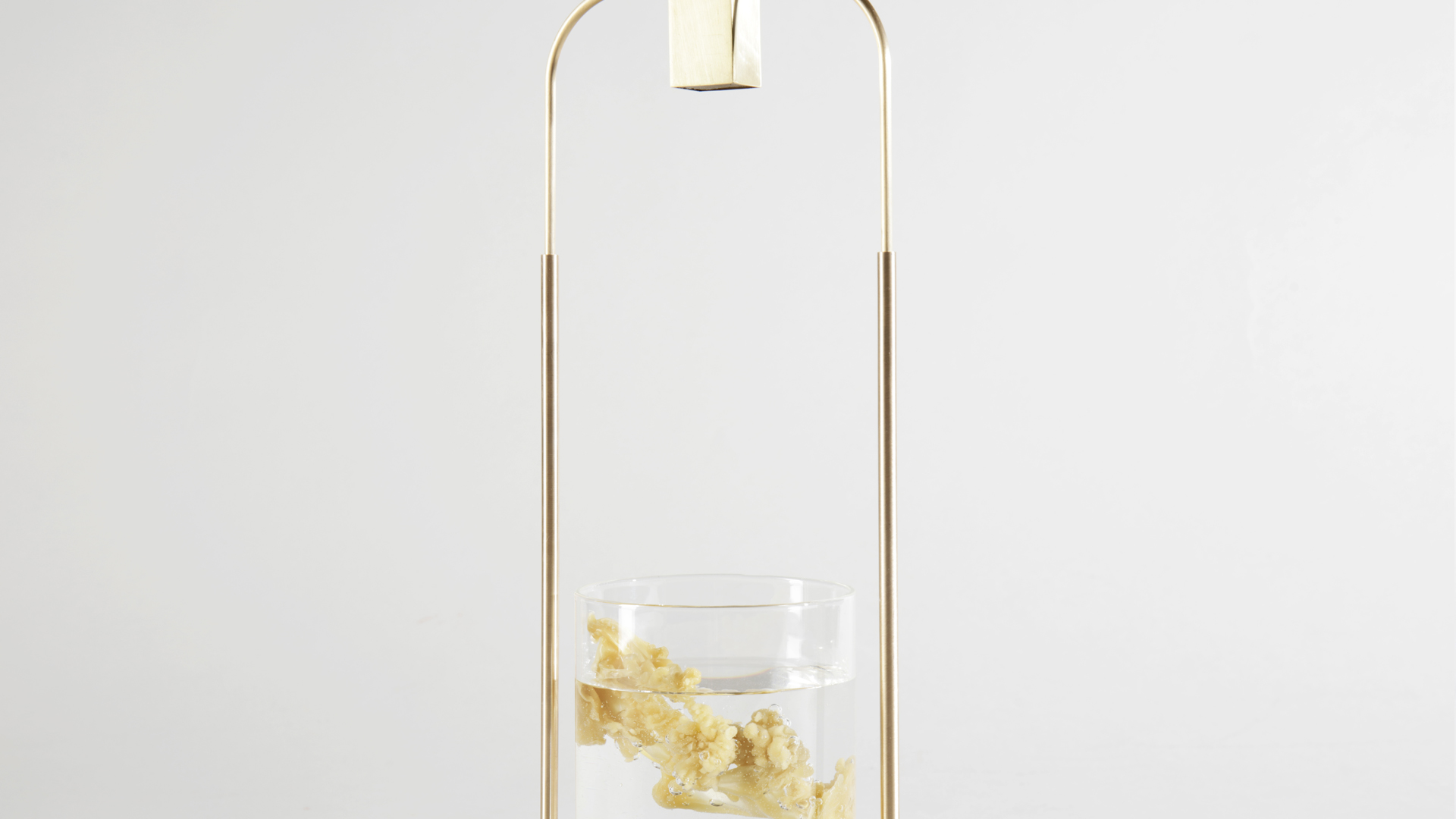 Wax shaped by water captures the instant.