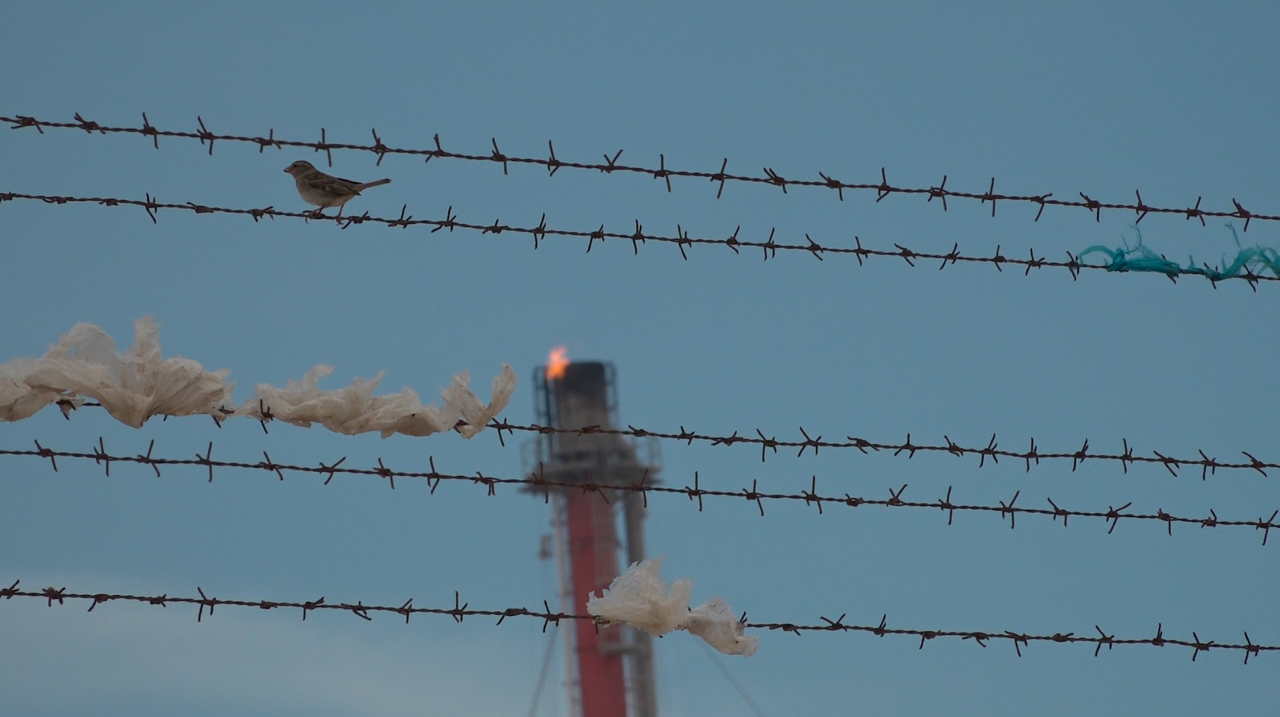 film still “From Rivers to Dust”, Mary Sarsam