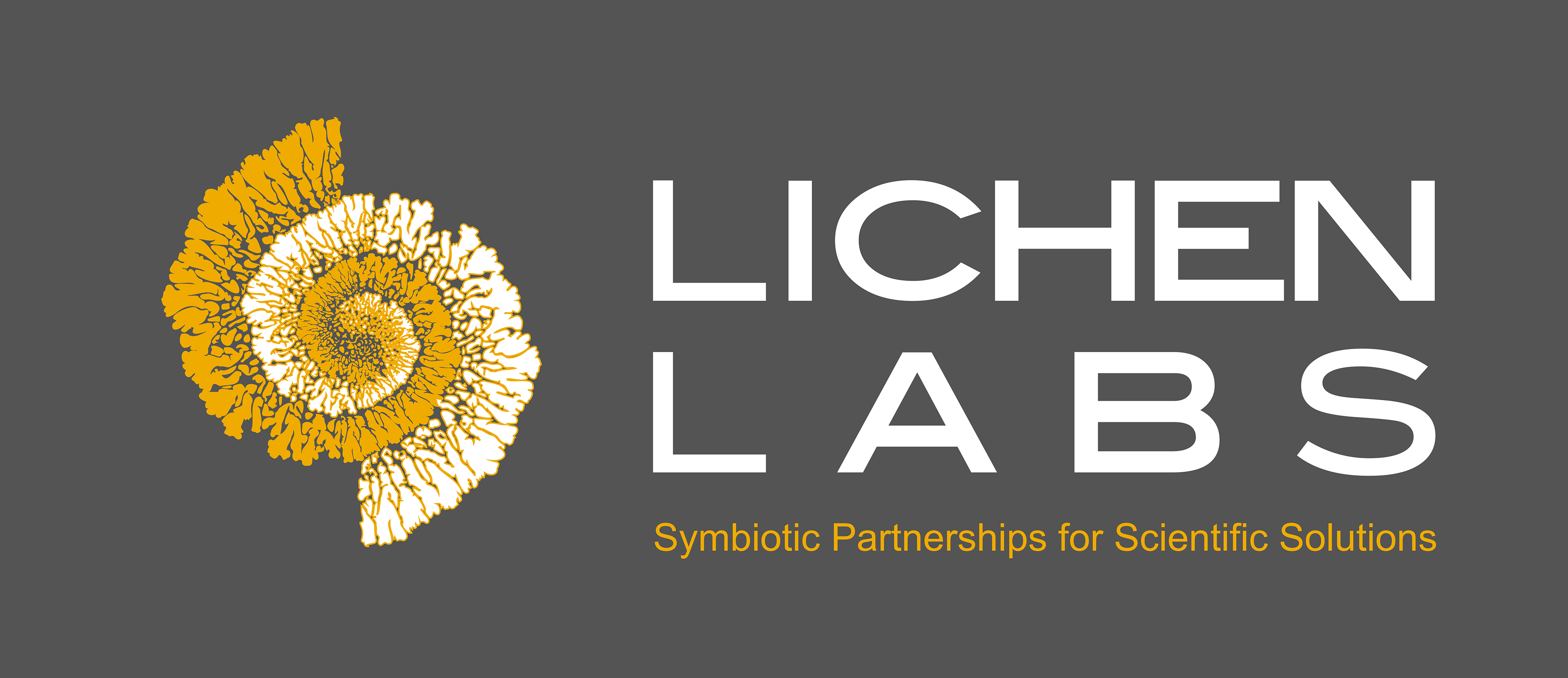 Gesponsord door Bio^mi - ‘Share nature’s vibe’ - biomimicry
