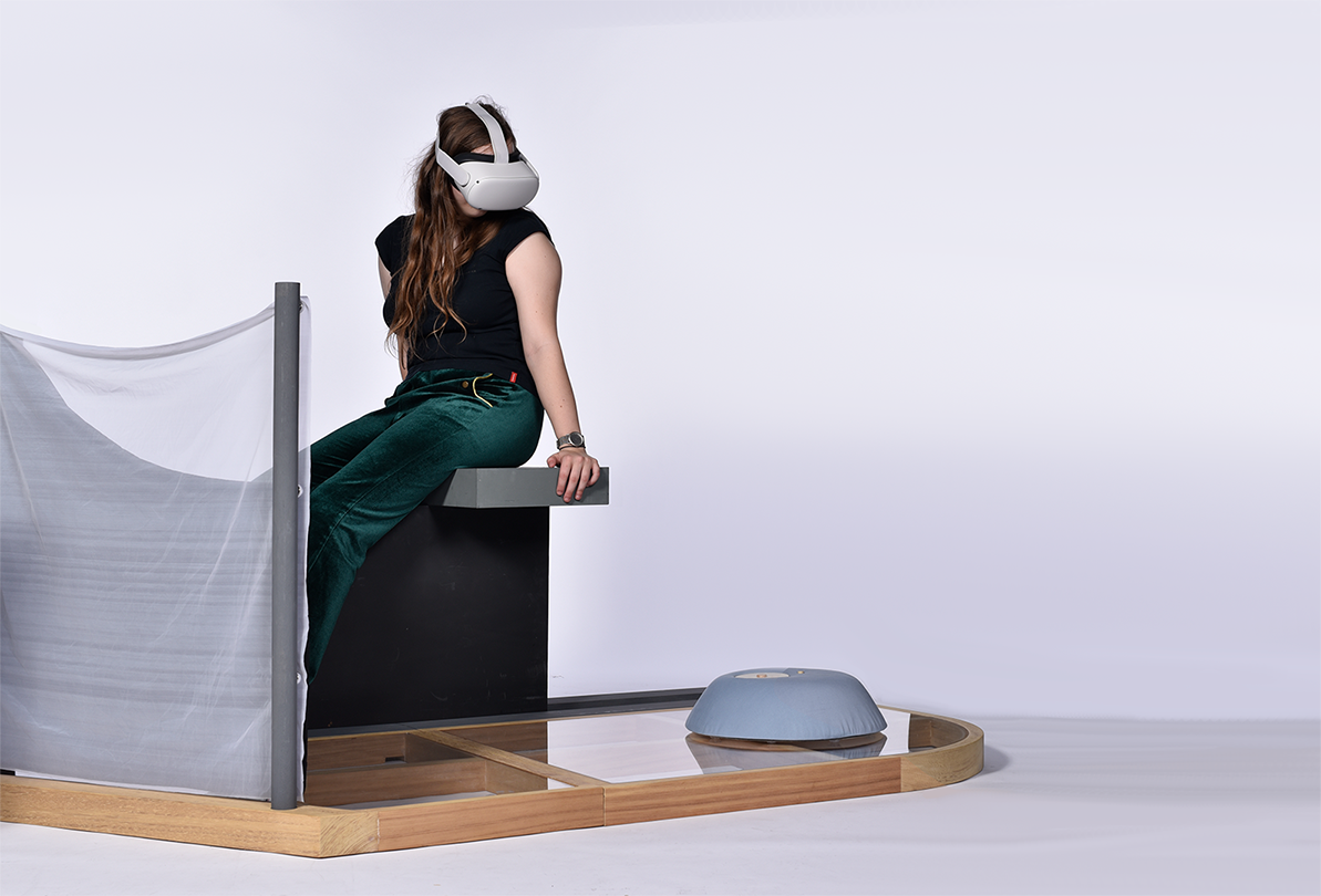 Outside view of me in my virtual environment