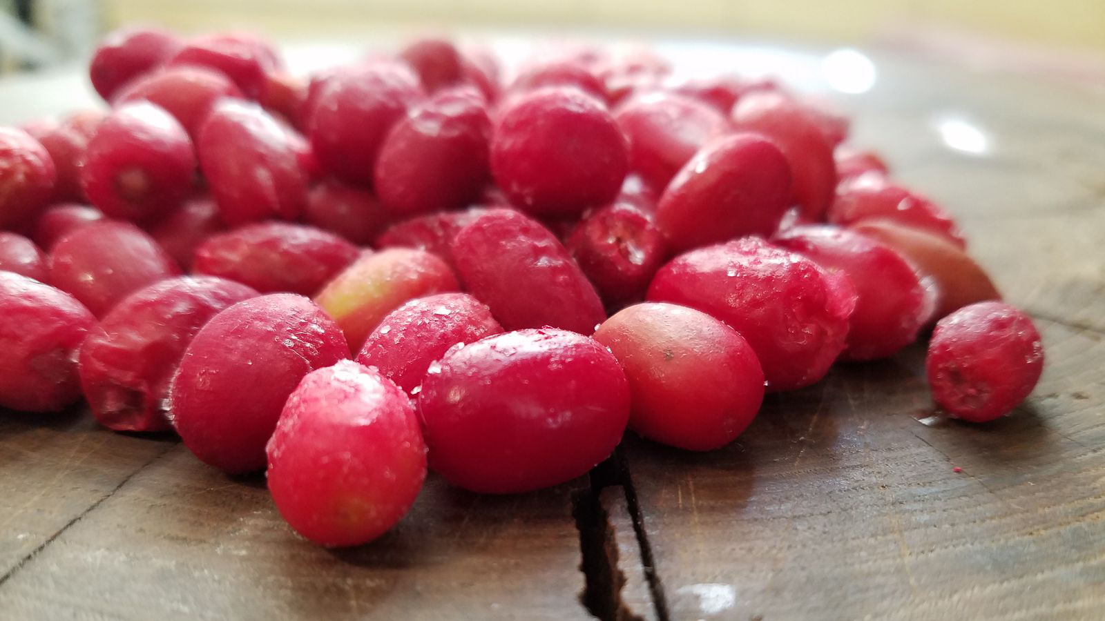 Harvested miracle berries