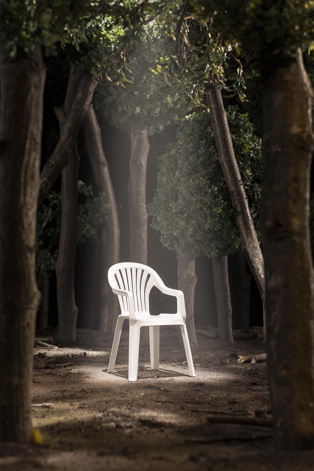 monobloc im Wald