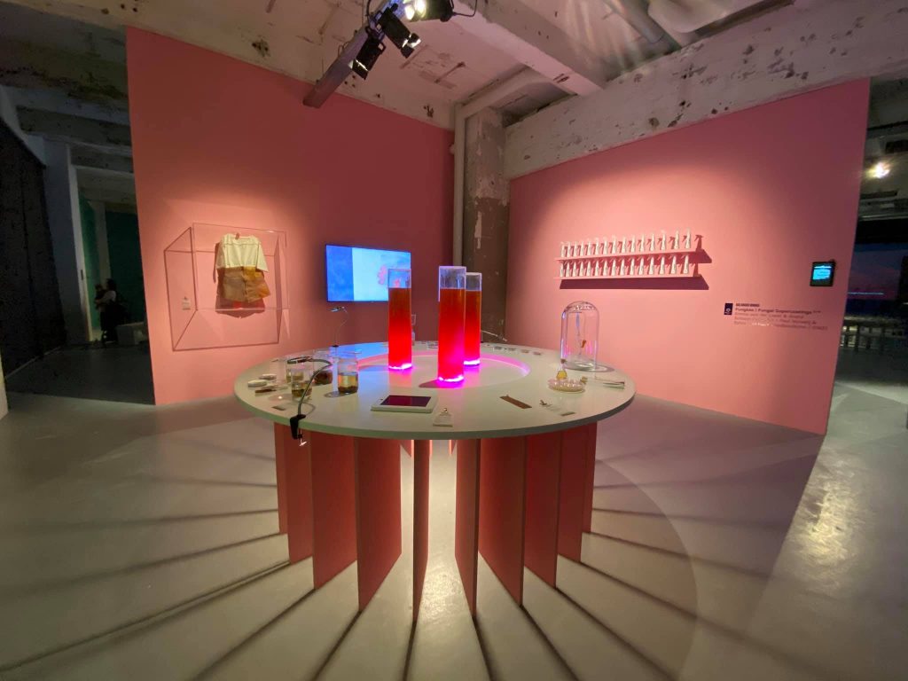 MU_Polarities exhibition