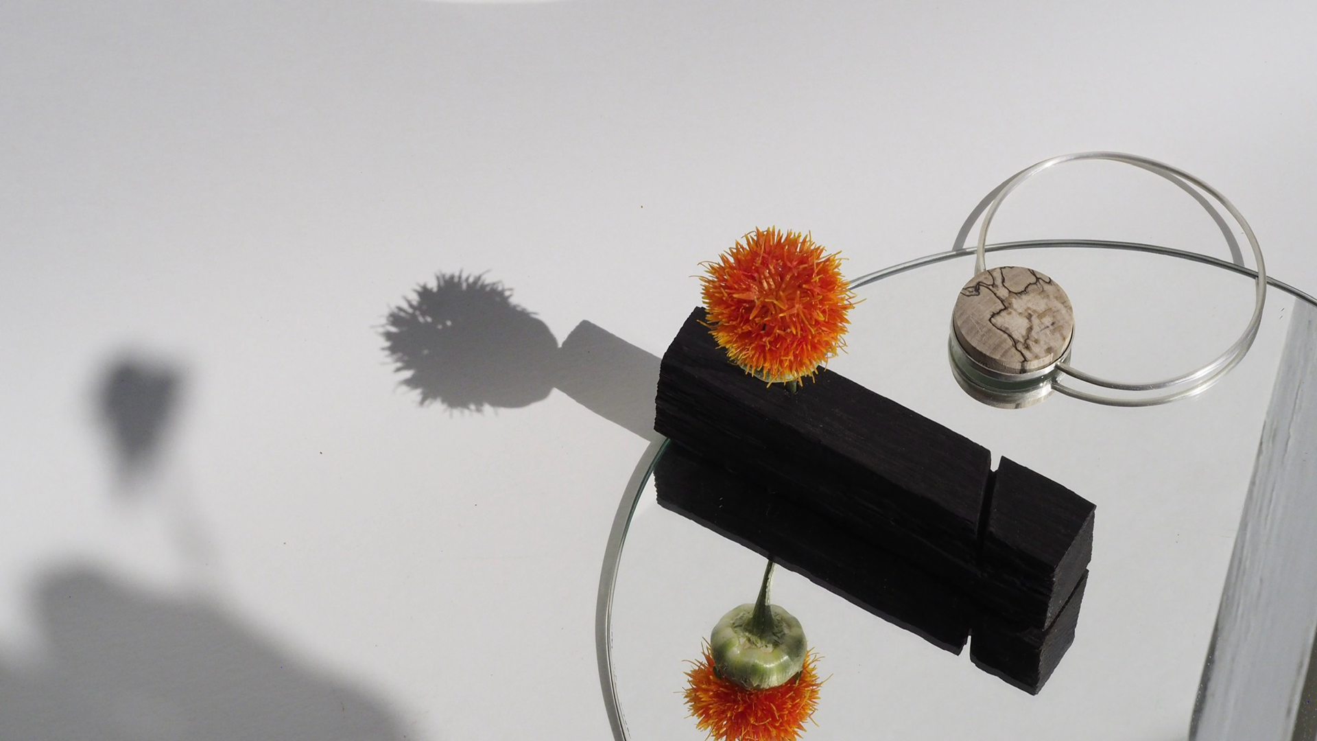 Living objects