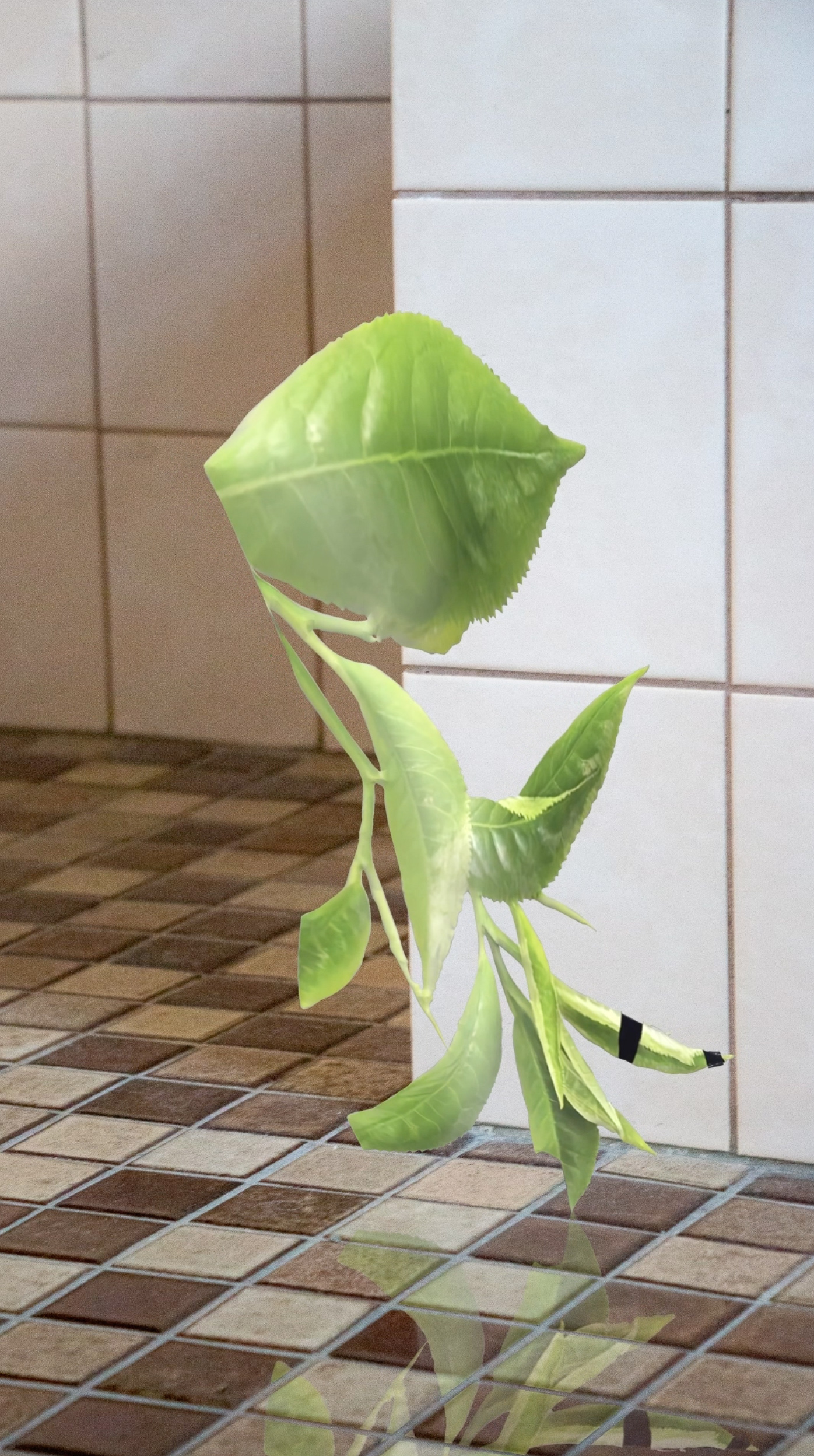 Neo Nature