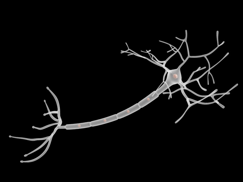 Interconnected