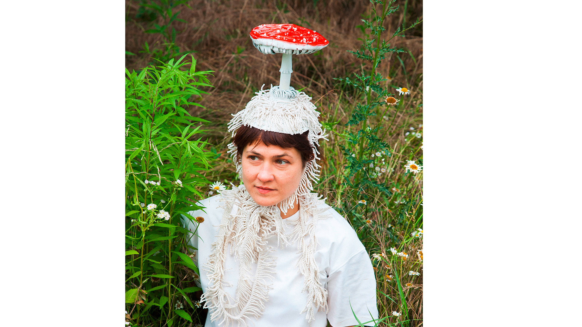 The intoxicant of the reindeer  (Amanita muscaria)