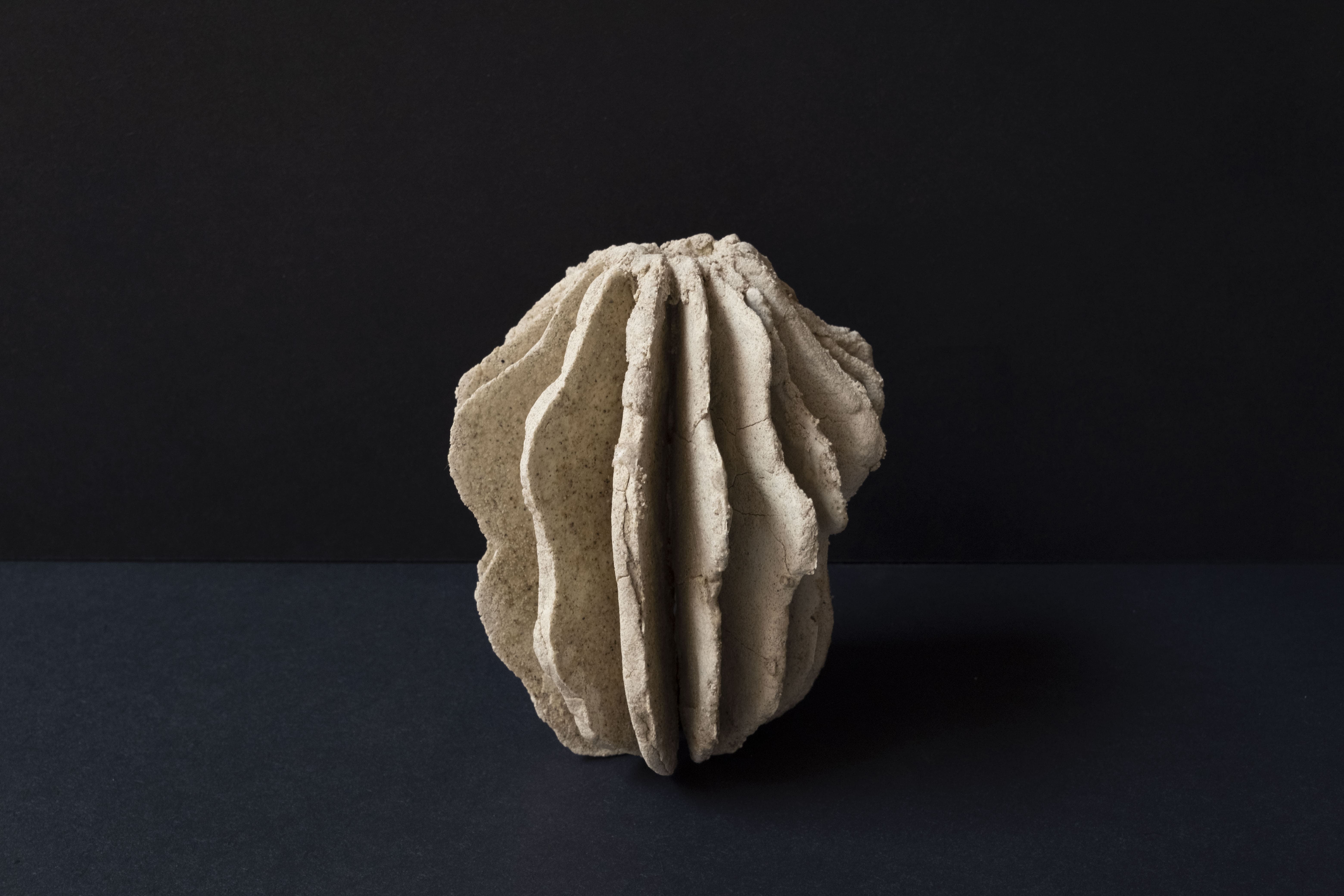 Neo Scholar's stone #001