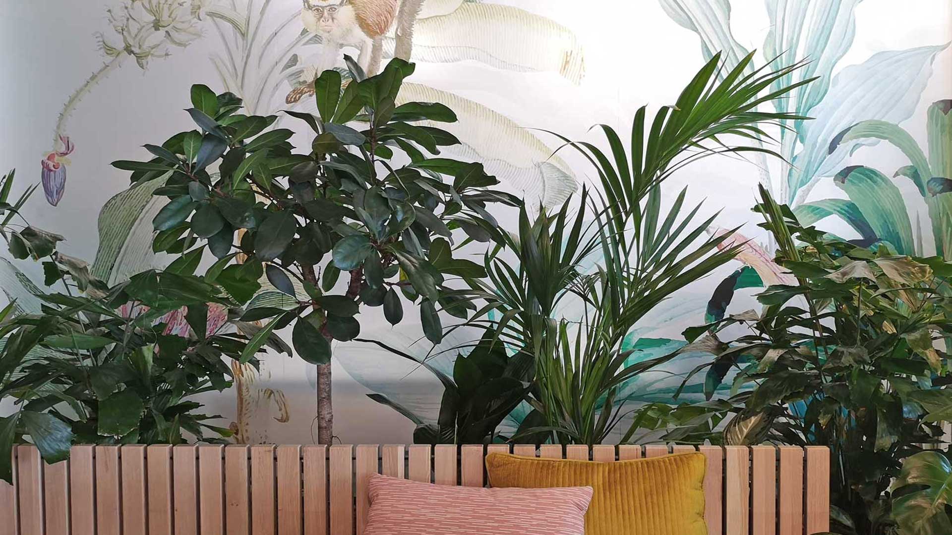 Planten voor een raamfolie met plantenprint
