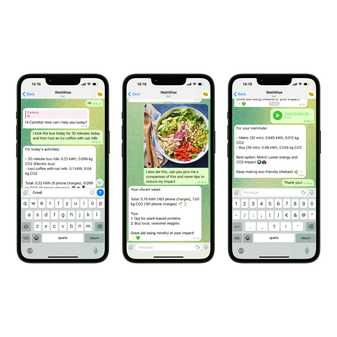 Examples of Wattwise AI chat interface
