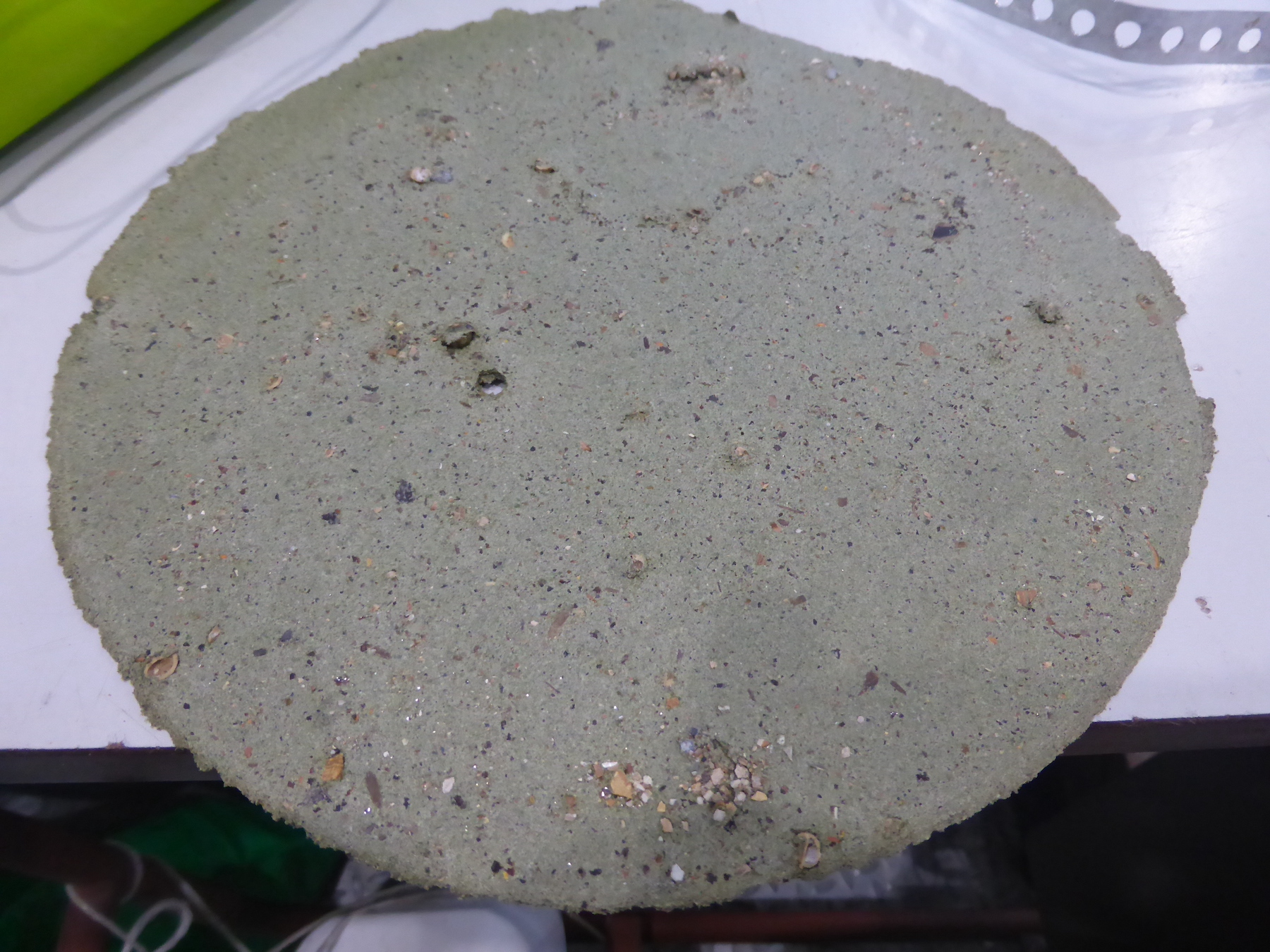 'failed' duckweed material #1, sounds like paper