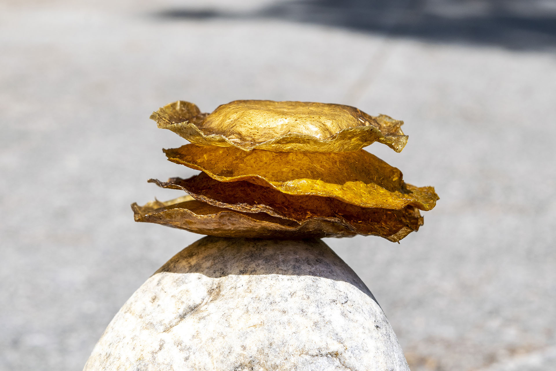 Side view of the PACKIOLI