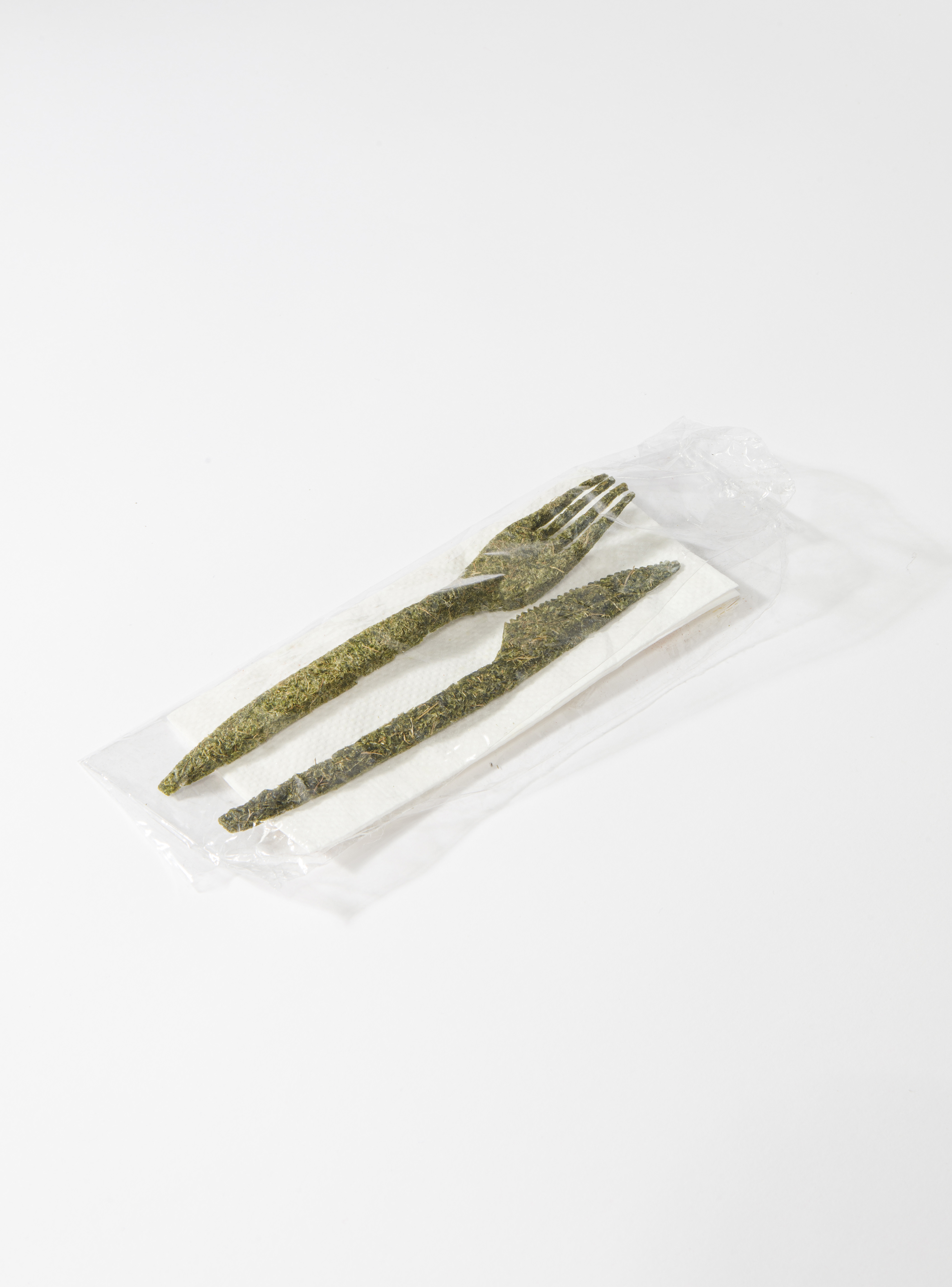 Product photo of Isoëtes cutlery as consumer good