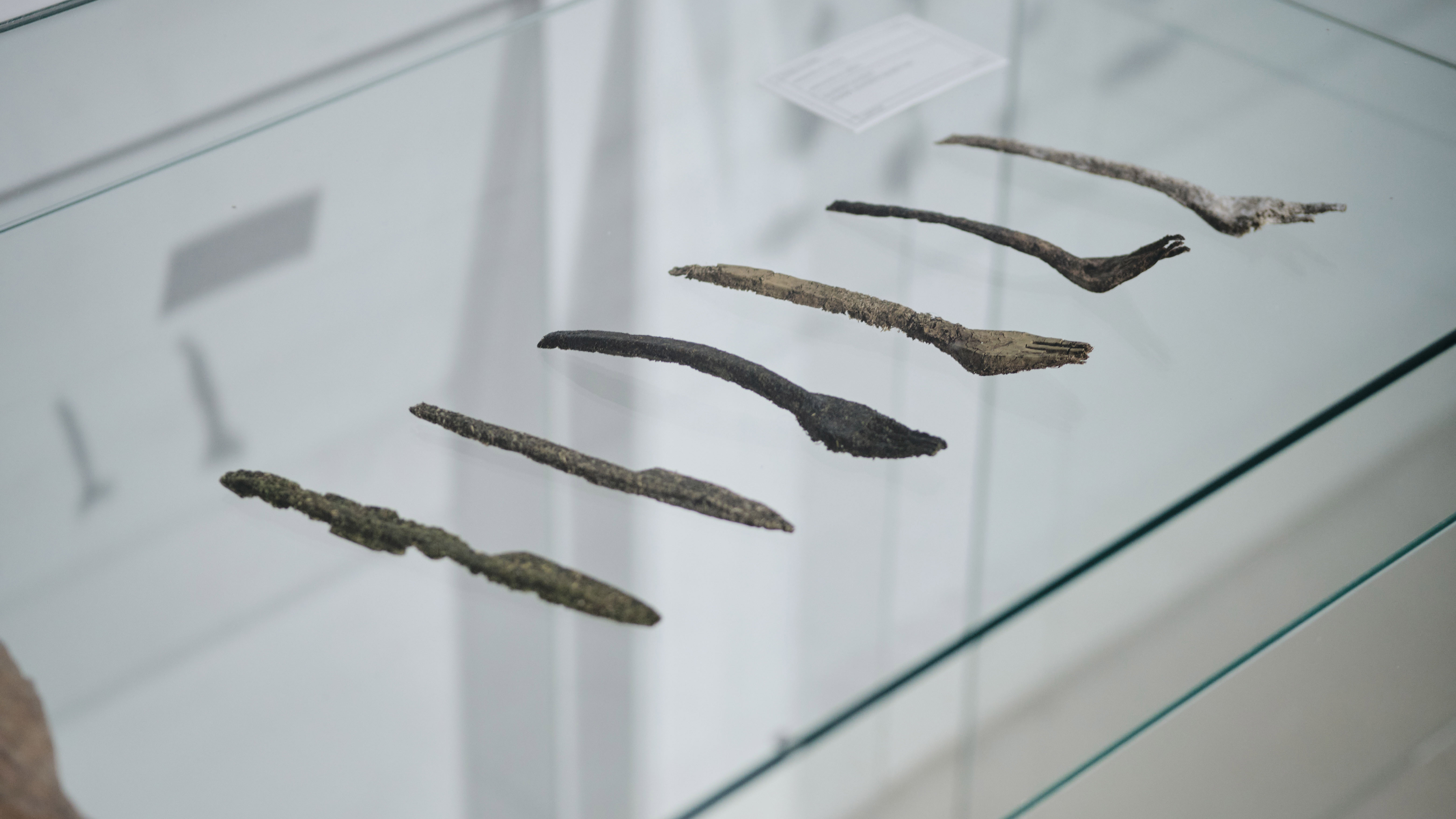 The dysfunctional fossil-looking Isoëtes cutlery