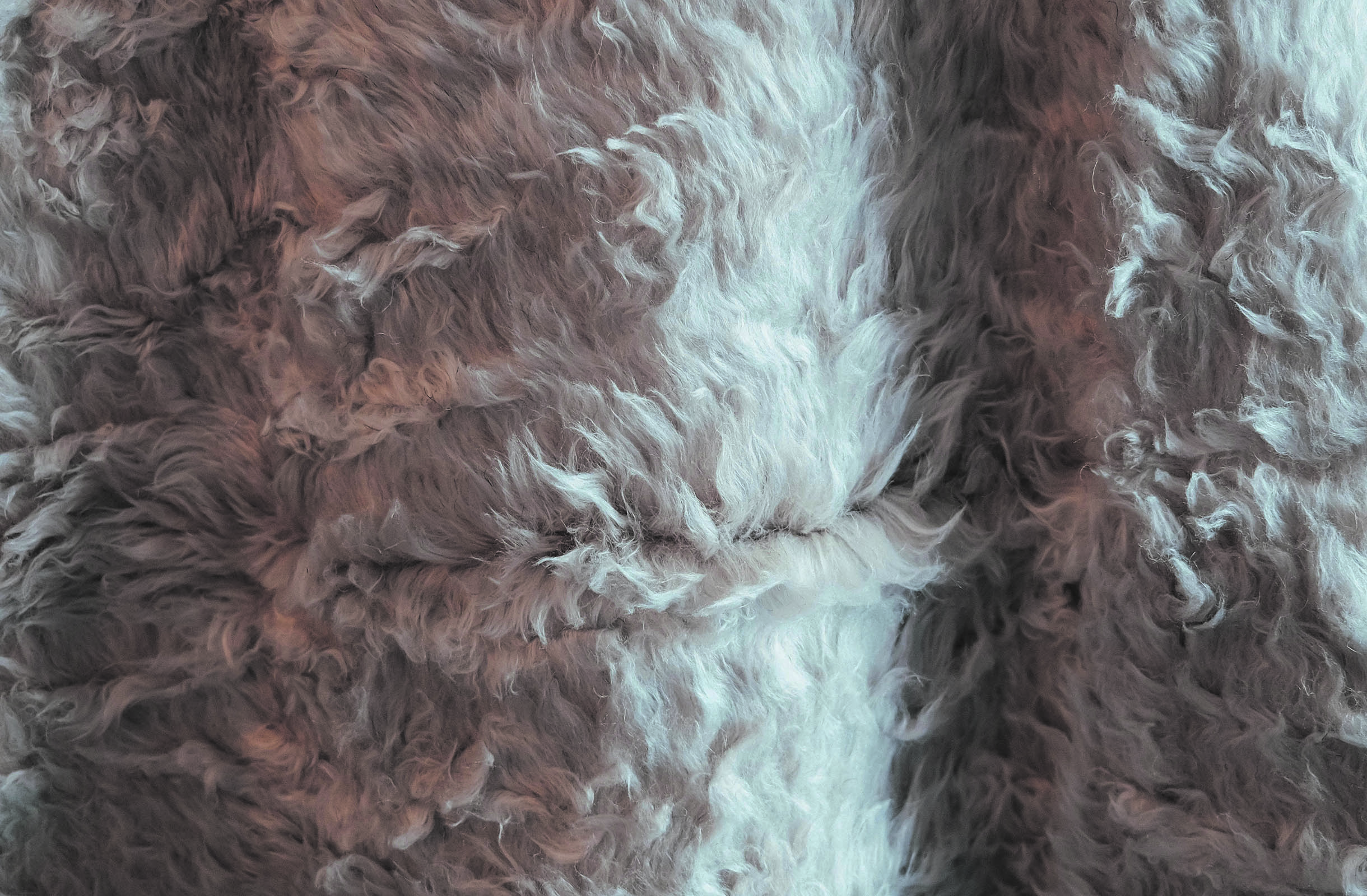 Hemp Fur fragment