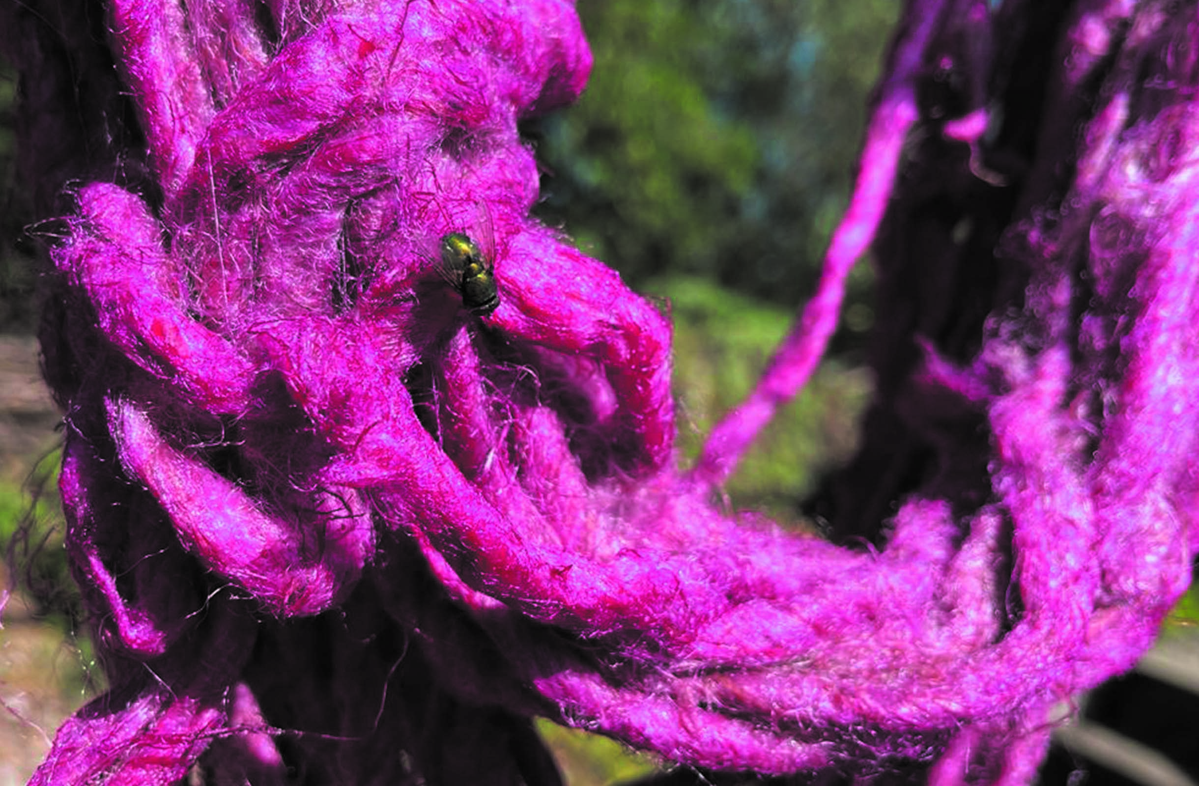 Beet-dyeing woolen yarn