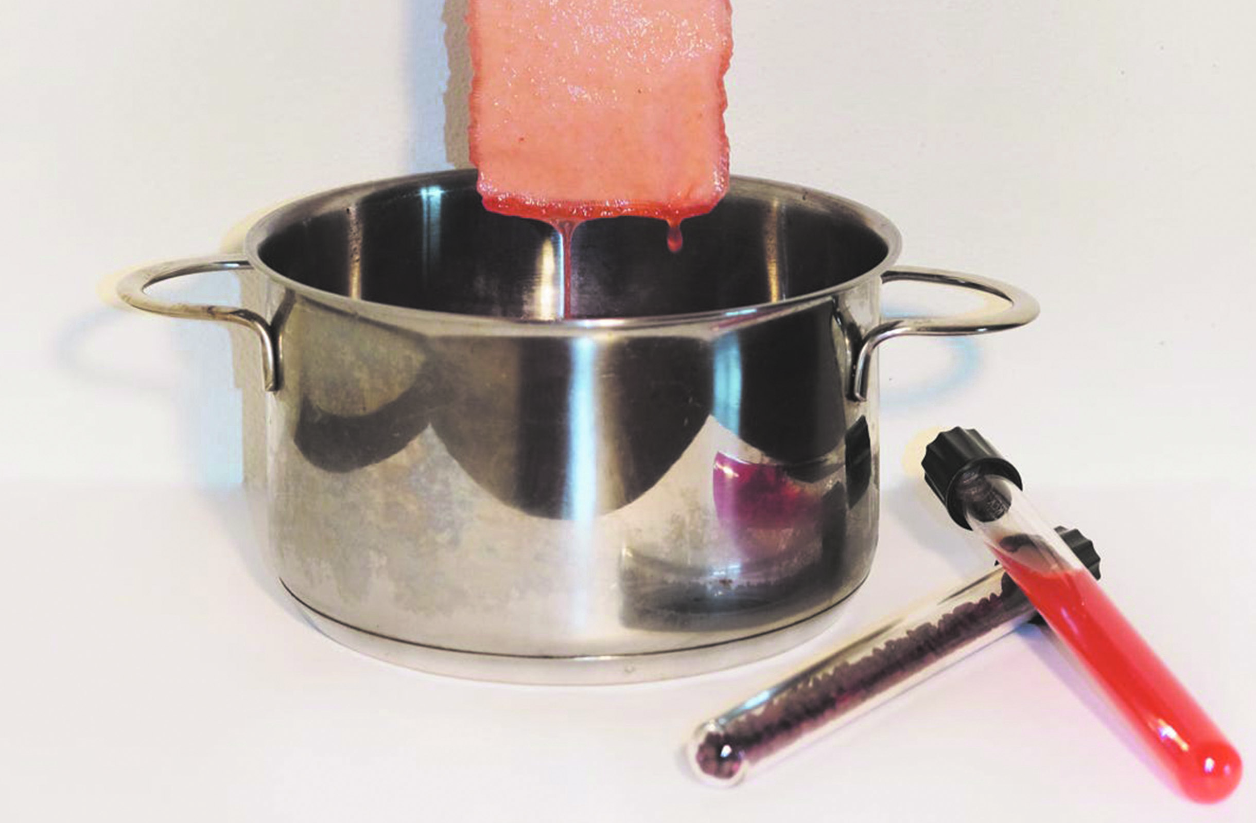 Fungal Dye process