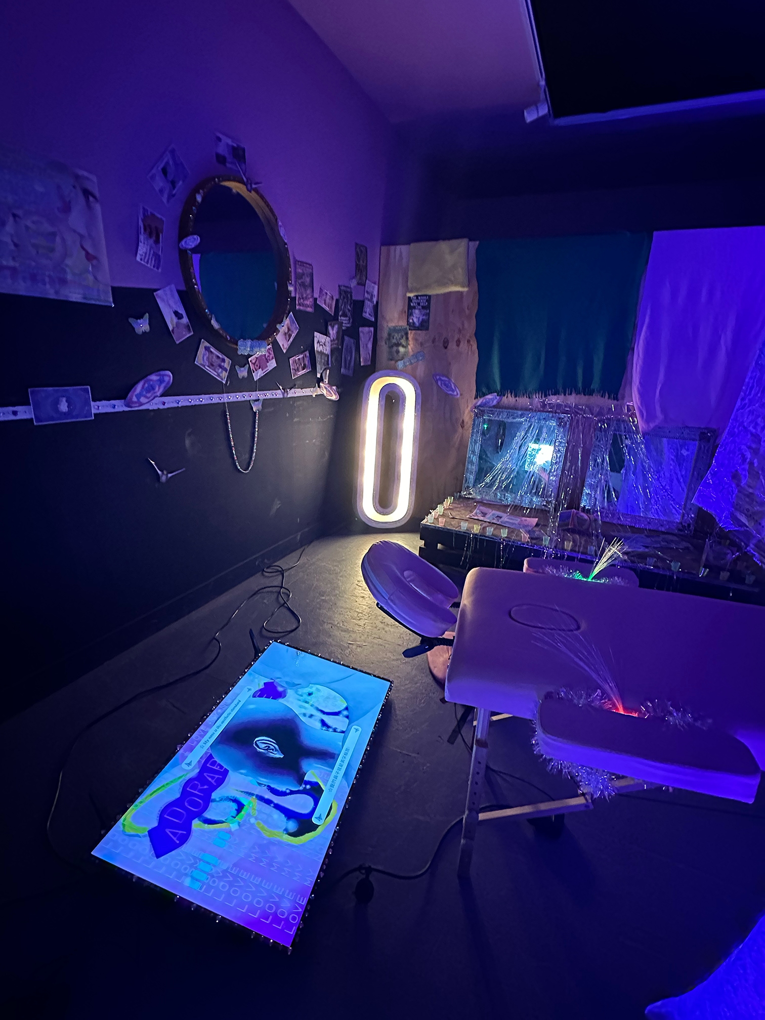 Mixed Media Installation: Perfect Nose