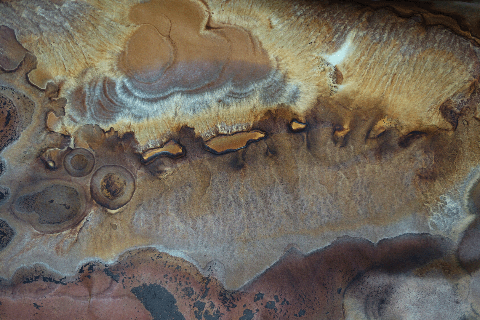 Permeance, detail of polluted soil chromatography.