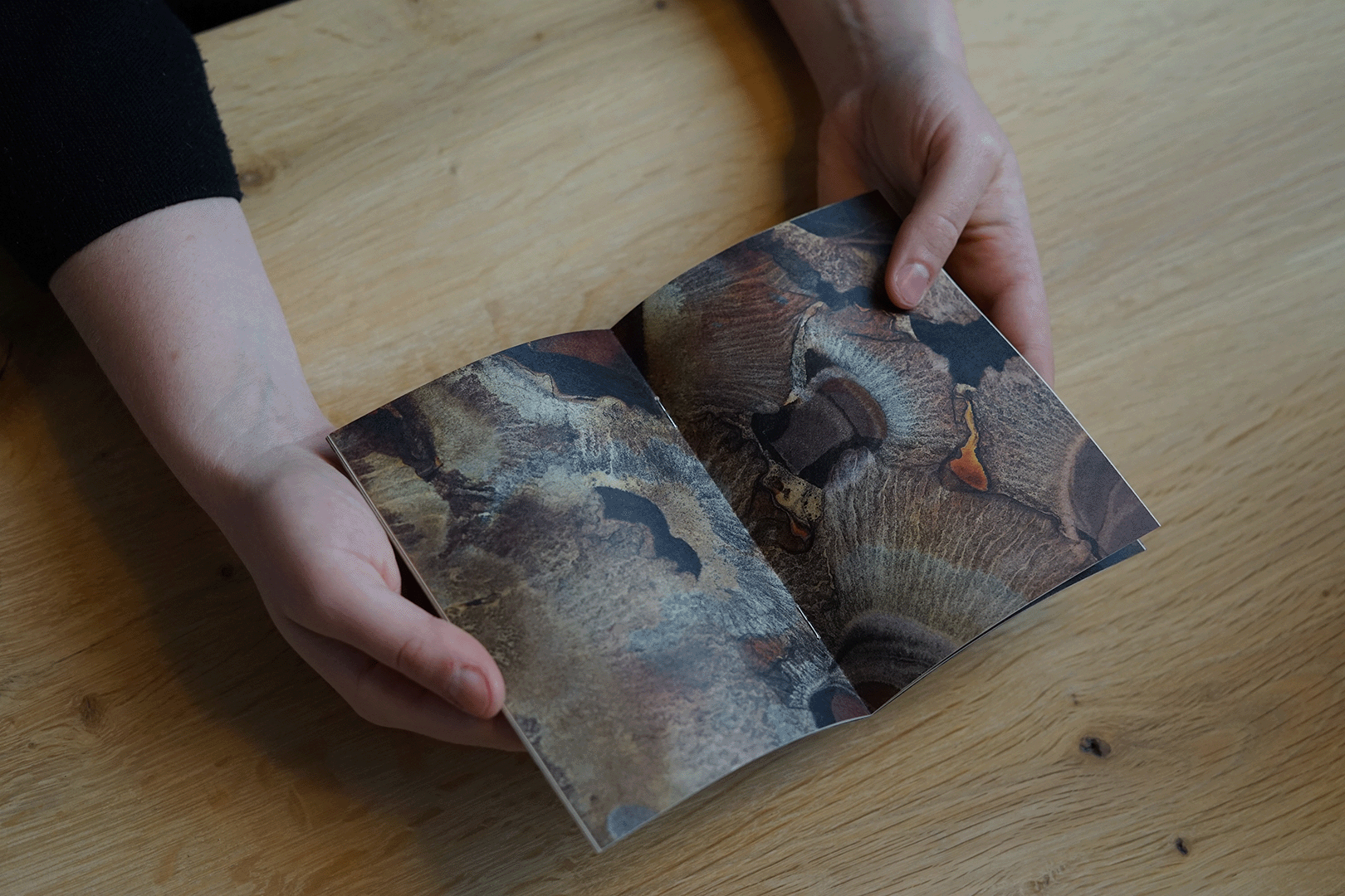 A theoretical exploration of permeance, in zine.