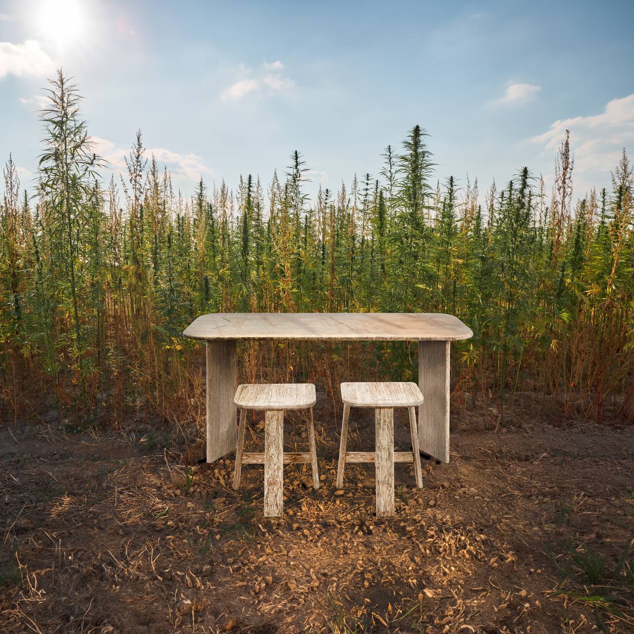 HempSolo from ReHemptation by Husarska