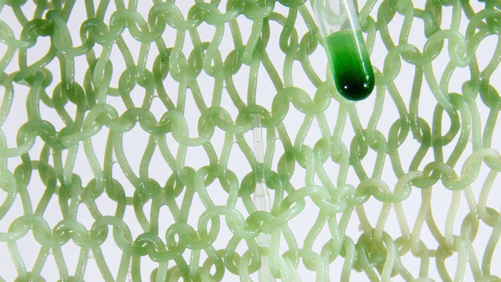 BIO Plexis  by Nikoletta Karastathi