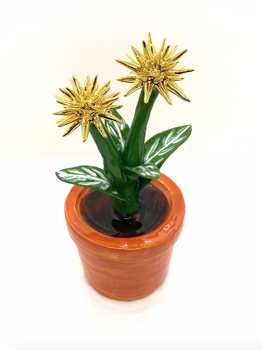 Imaginary plant